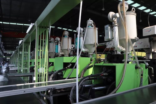 臨浦 從“跟跑”到“領跑”，科技創新為日用百貨產業插上騰飛之翼